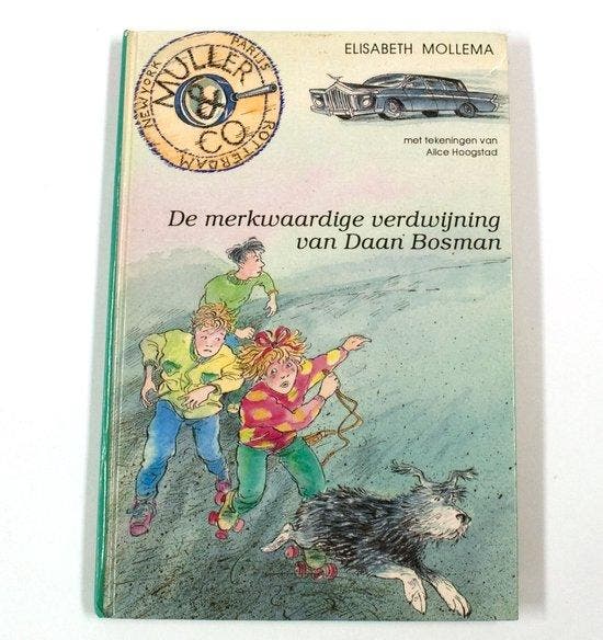 De merkwaardige verdwijning van Daan Bosman - Mollema, Livres, Thrillers, Envoi