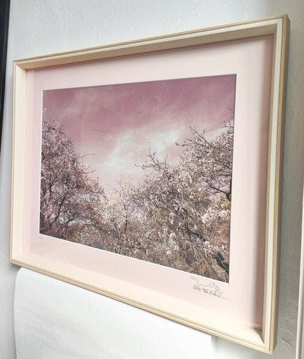 Viet Ha Tran - Spring is in the air III (Framed), Antiek en Kunst, Kunst | Designobjecten