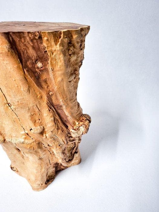 The Forest - Art & Woodworking Studio - Table dappoint -, Antiquités & Art, Art | Objets design