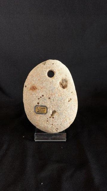 Néolithique Pierre outils pois de pêche - 108 mm (Sans prix