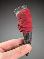 Malagassische gri-gri-amulet - Antandroy - Madagaskar