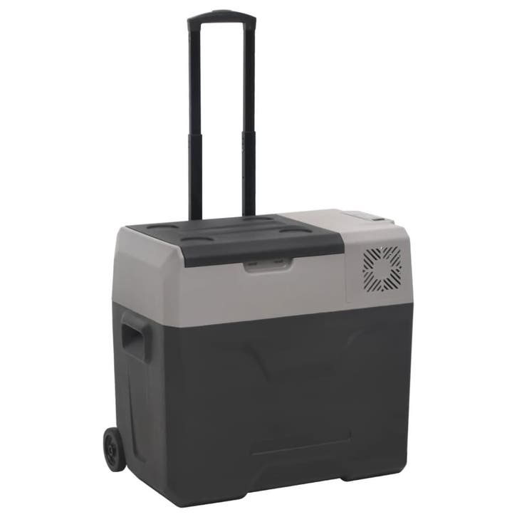 vidaXL Koelbox met wielen en handvat 30 L polypropeen zwart, Electroménager, Réfrigérateurs & Frigos, Envoi