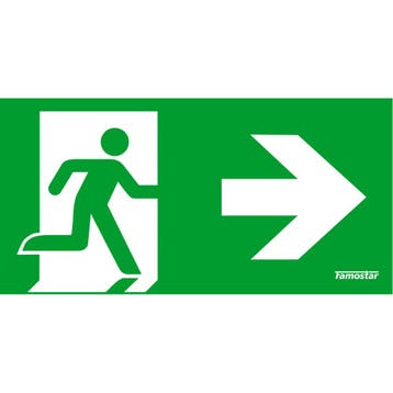 Famostar HiVision Pictogramme Éclairage De Secours - 392871, Bricolage & Construction, Verzenden