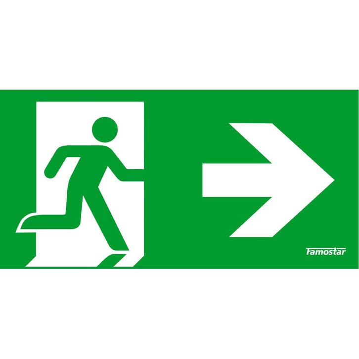 Famostar HiVision Pictogramme Éclairage De Secours - 392871, Bricolage & Construction, Éclairage de chantier, Envoi