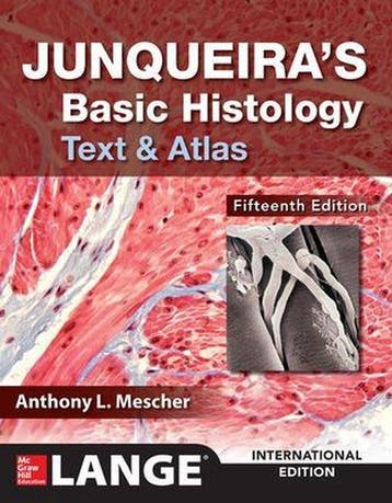 Junqueiras Basic Histology 9781260288414 AnthonyL Mescher, Boeken, Verzenden, Gelezen, AnthonyL Mescher