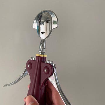 Alessi - Alessandro Mendini - Tire-bouchon - Anna G - acier, Antiek en Kunst