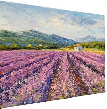 Christof Vevers (1962) - Les Champs de Lavande - Valensole ~