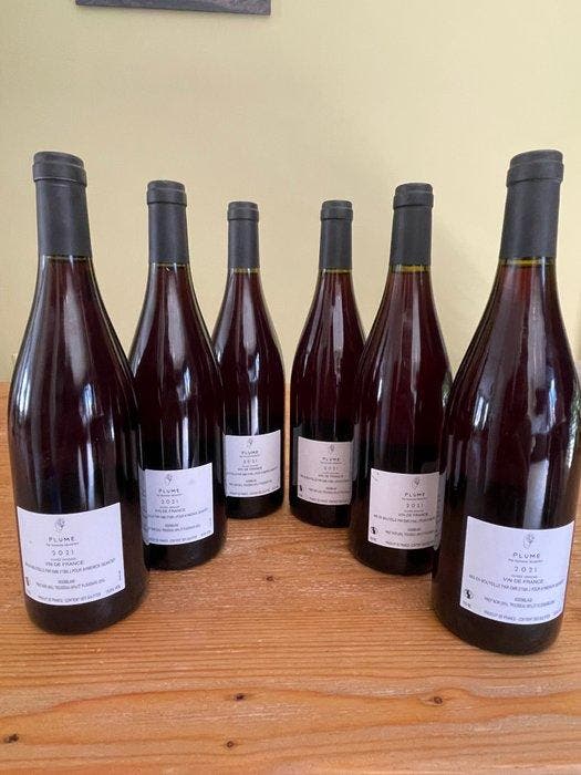2021 Aymeric Geantet Plume rouge - Vin de France - 6, Verzamelen, Wijnen