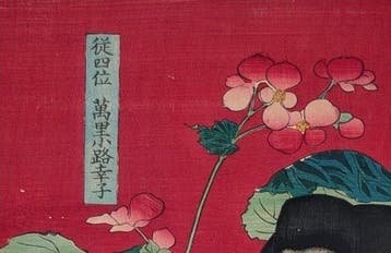 Yoshitoshi -- Begonia -- Schoonheden en de Zeven Bloemen --