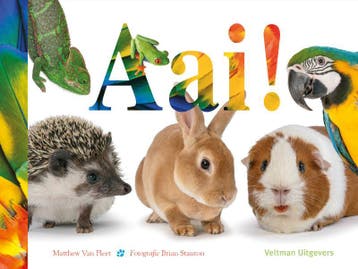 Aai! 9789048320271 Matthew Van Fleet, Verzenden, Matthew Van Fleet