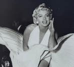 Matty Zimmerman - Marilyn Monroe