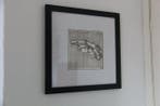 Kate Peel - Staged Drawing 3