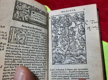 Novum Testamentum - 1541
