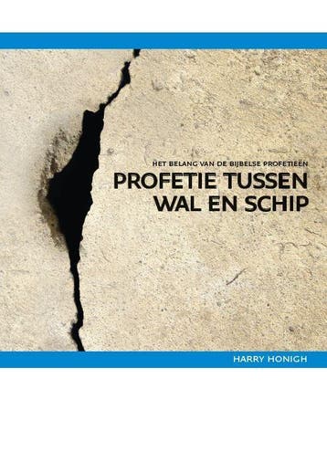 PROFETIE TUSSEN WAL EN SCHIP 9789057982972 Harry Honigh, Boeken, Verzenden, Zo goed als nieuw, Harry Honigh