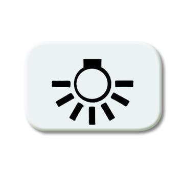 ABB Busch-Jaeger 2525 LI-214 Light Symbol R-Alpin White -, Verzenden