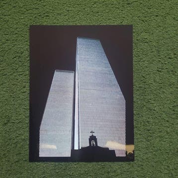 Mireille Vautier - Twin Towers