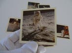 NASA - Apollo 11, Moon Mission, Antiek en Kunst