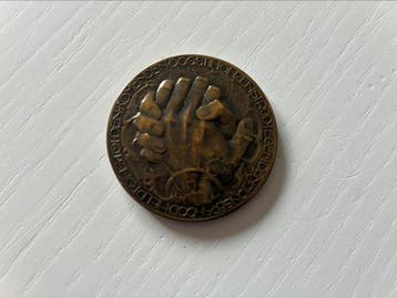 Médaille artistique - L.Zijl Van der Hoef - Nederlandse, Antiek en Kunst