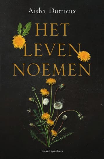 Het leven noemen 9789000377572 Aisha Dutrieux, Verzenden, Aisha Dutrieux