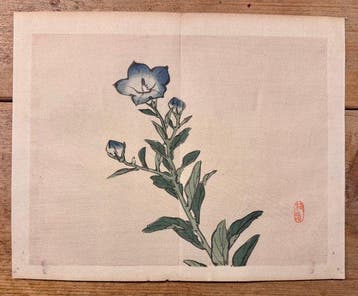 Blue bell flower - Kno Bairei (1844-1895) - Japan - Meiji