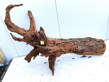 Osaka XL225 uniek aquarium decoratie hout  160x95x55cm, Ophalen of Verzenden, Plant(en), Steen of Hout