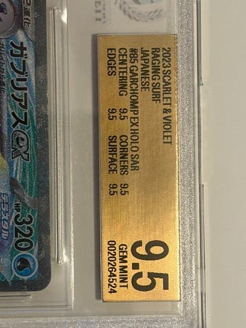 Pokémon - 1 Graded card - Garchomp 085/067 Foil, Full art,
