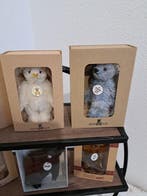 Steiff - Teddybeer Steiff Club Teddybären - 2000-2010 -