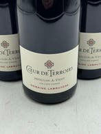 2014 Domaine Labruyère Coeur de Terroirs Moulin à Vent