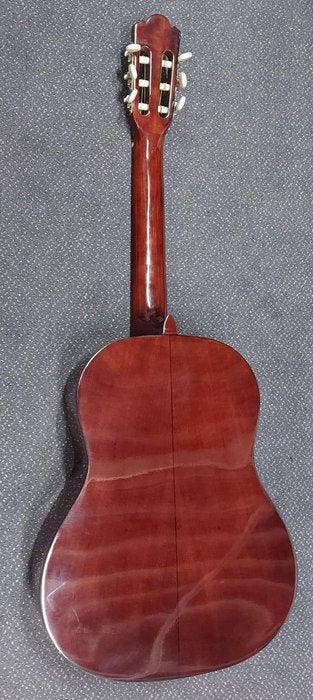 Motion - CG10-DLXN Solid top 4/4 - - Guitare acoustique, Musique & Instruments