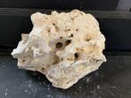 White Moonstone Selected MS11   7,3KG / 31x18x23cm, Animaux & Accessoires, Poissons | Aquariums & Accessoires, Ophalen of Verzenden