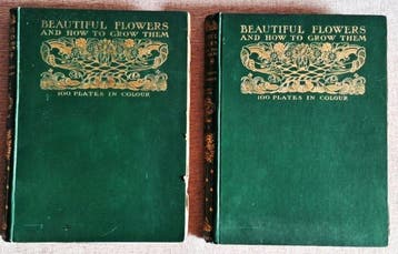 T.C & E.C Jack - Beautiful Flowers and how to grow them -