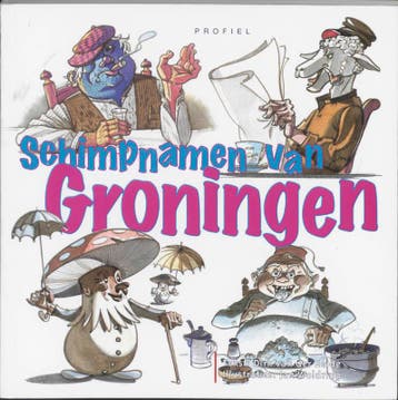 Schimpnamen van Groningen 9789052943015 D. van der Heide, Verzenden, D. van der Heide