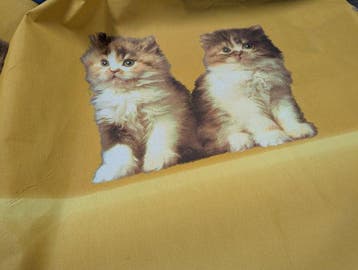 Dolcezza Felina su Cotone – Manifattura Calusiese -