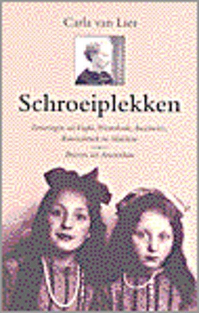 Schroeiplekken ; Brieven uit Amsterdam 9789029717014, Livres, Histoire mondiale, Envoi
