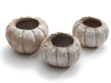 Coco Pumpkin Frosted zak 3 stuks, Nieuw