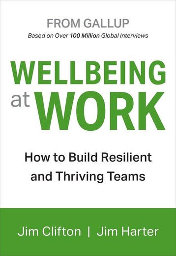 Wellbeing At Work 9781595622419 Jim Clifton, Verzenden, Zo goed als nieuw, Jim Clifton