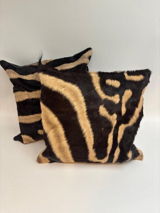 Zebra Balg - Equus quagga - 40 cm - 40 cm - 1 cm -, Antiek en Kunst, Curiosa en Brocante