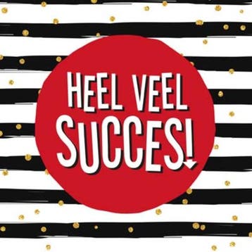 Heel veel succes 9789461888730 Gerd de Ley, Boeken, Verzenden, Zo goed als nieuw, Gerd de Ley