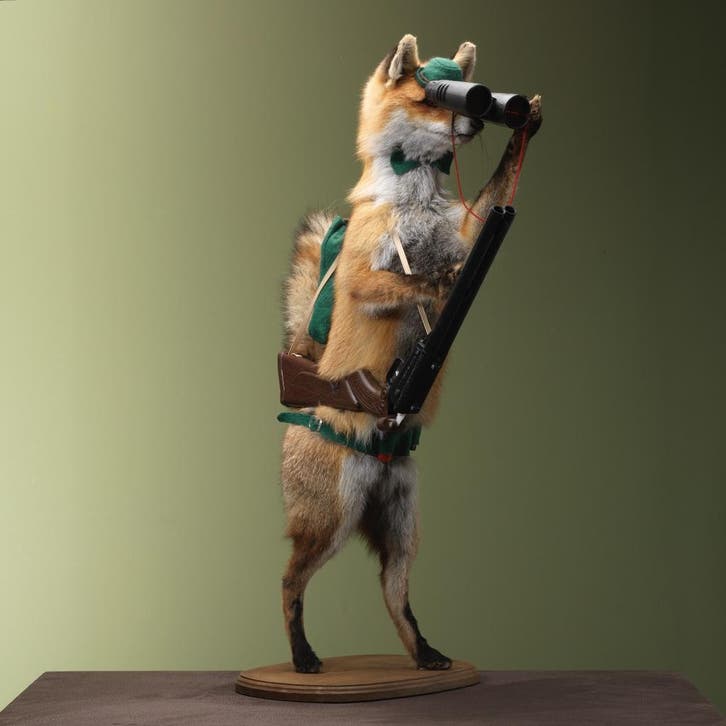 Vos Jager Taxidermie Opgezette Dieren By Max, Verzamelen, Dierenverzamelingen, Opgezet dier, Nieuw, Wild dier, Ophalen of Verzenden