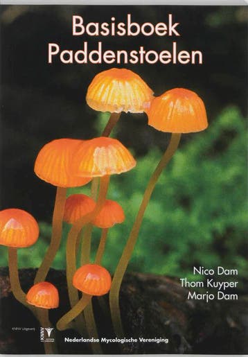 Basisboek Paddenstoelen | N. Dam; T. Kuyper; M. Dam | Nieuw, Boeken, Verzenden, Nieuw, N. Dam; T. Kuyper; M. Dam