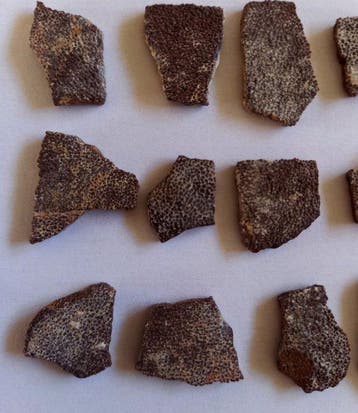 Dinosauruseierenschalen uit Frankrijk - Gefossiliseerd ei
