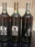 Niepoort’s President - Ligt Tawny - Meio Seco - Douro - 3, Collections