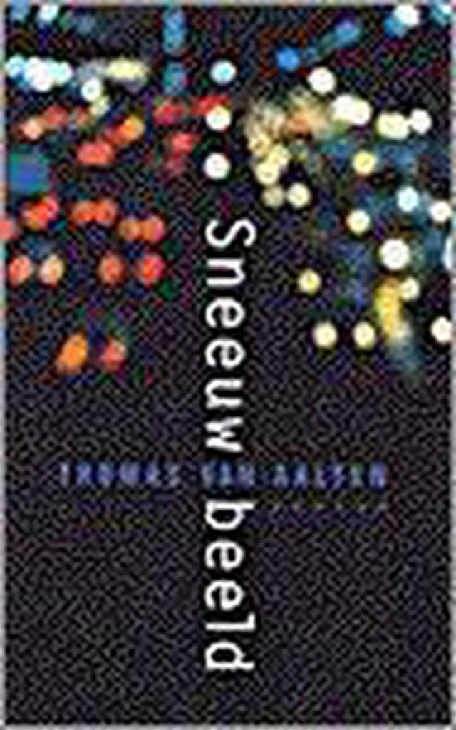 Sneeuwbeeld 9789057592737 T. van Aalten, Livres, Romans, Envoi