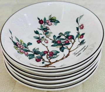 Villeroy & Boch - Kom (6) - botanica - Porselein, Antiquités & Art