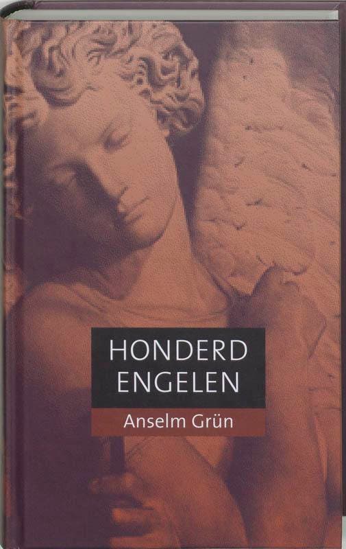 Honderd engelen 9789059959958 Anselm Grün, Livres, Ésotérisme & Spiritualité, Envoi
