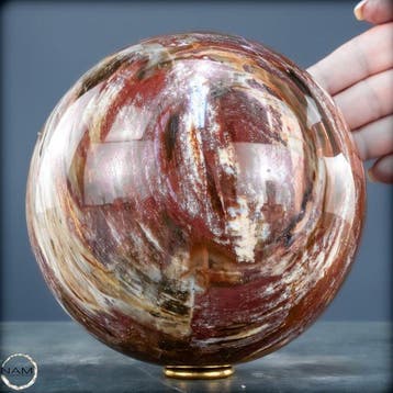 Natuurlijk versteend hout als bol – Intense houtnering in