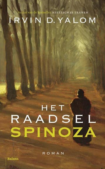 Het raadsel Spinoza 9789460033742 Irvin D. Yalom, Verzenden, Gelezen, Irvin D. Yalom