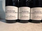 2023 Henri de Villamont - Bourgogne Hautes-Côtes de Beaune -, Nieuw