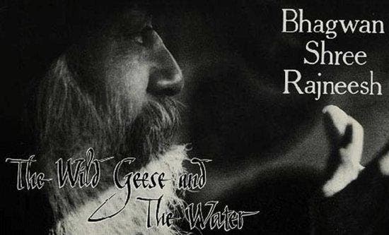 The Wild Geese and the Water - Osho (Bhagwan Shree Rajneesh), Boeken, Esoterie en Spiritualiteit, Verzenden