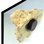 Tunze Coral Rack Nano, Animaux & Accessoires, Verzenden